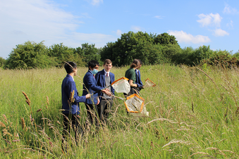Yr 9 Wellacre City of Trees 5 crop.png
