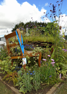 RHS Flower Show 11 crop.png