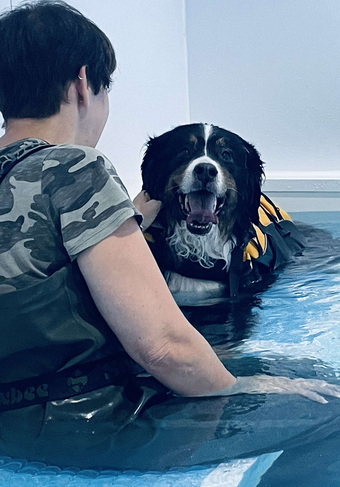 Yr 10 Jud - NW Canine Hydro Therapy (2) crop.png
