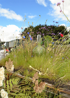 RHS Flower Show 5 crop.png