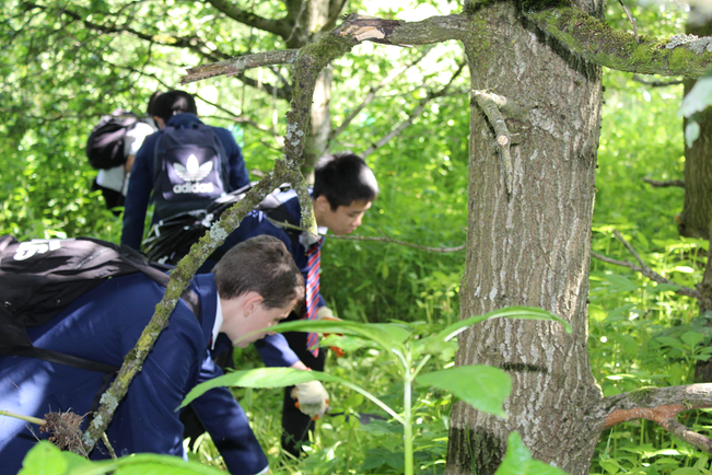 Yr 9 Wellacre City of Trees 2 crop.png