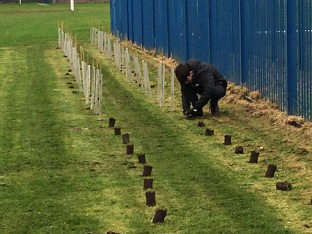 Tree planting 1 crop.png