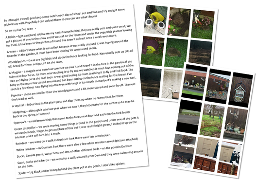 Yr 8 Alfie D Wildlife Watching Personal Project crop.png