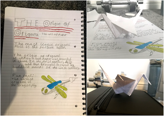 Yr 7 Devon Personal Project Origami crop.png