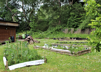 Eco Centre Beds 2 crop.png