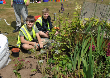 RHS FLower Shower 2 crop.png